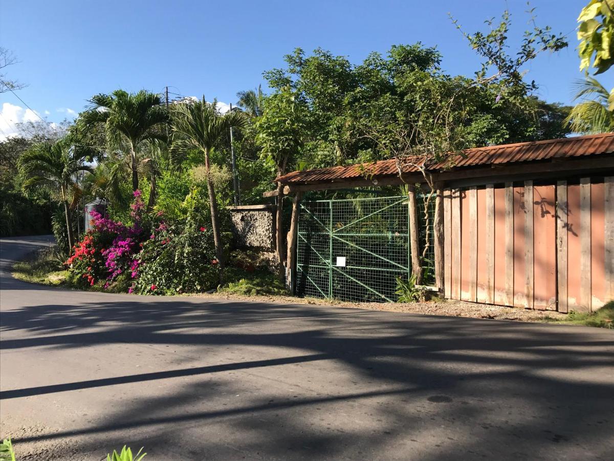 Flor De Paraiso Bungalows Montezuma Exterior foto